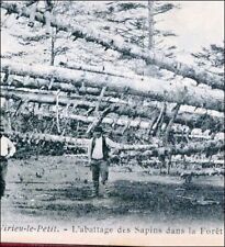 AIN VIRIEU-LE-PETIT 1904 FORESTIER BUCHERON FOREST ARVIERE OLD POSTCARD picture