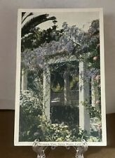 Postcard California Famous Wisteria Vine Sierra Madre Vintage White Boarder picture