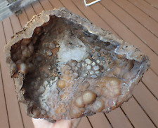 Botryoidal Fossil Coral Geode GA Agate Amber Druzy Specimen Collection WC109 picture