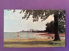 Lincoln Park near Gun Club Chicago Illinois IL Vintage Postcard picture
