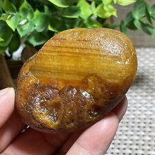 Top Bonsai Suiseki-Natural Gobi Agate Eyes Stone-Rare Stunning Viewing 128g A249 picture