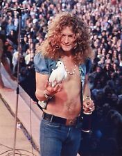 ROBERT PLANT OF LED ZEPPELIN 8X10 Photo Print picture