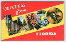 LARGO, FL Florida ~ Large Letter Linen c1950s Pinellas County Postcard picture