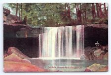 Postcard The Falls at Cascade Park New Castle Pennsylvania PA c.1909 picture