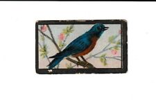 1910 Sweet Caporal Bird Series 'Blue Bird 