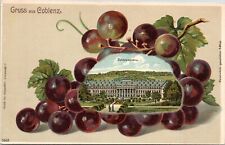 Gruss aus Coblenz Germany - c1900s Embossed Postcard - Grapes - Schlossplatz picture