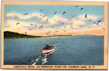Postcard NY Conesus Lake McPhersons Point man in boat seagulls picture