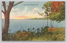 Long Lake Bridgton Maine Linen Postcard No 2758 picture