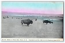 c1910 Buffalo Water Hole Bison Animal Field Pierre South Dakota Vintage Postcard picture