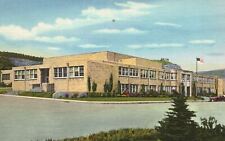 Vintage Postcard 1930's Hall of Learning Building Raton High School New Mexico picture