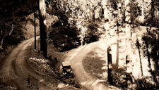 Antique Automobile Winding Forest Logging Road Rppc Real Photo Postcard picture