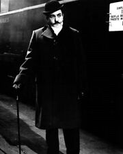 Murder on the Orient Express 1974 Albert Finney as Hercule Poirot 24x36 poster picture