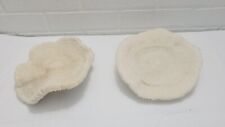 Lot Of 2 Large Old Genuine Natural Mushroom Coral Sea Shell Ocean White 7.5