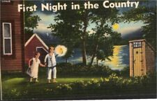 Postcard First Night In The Country with Lovers Outhouse Lake Night Scene picture
