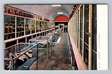 Pompeii-Italy, Interior of Museum, Advertising, Vintage Souvenir Postcard picture