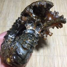 534g Natural Ammonite Fossil Conch Crystal Specimen Healing k58 picture
