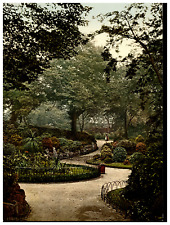 England. Nottingham. The Arboretum. Vintage Photochrome by P.Z, Photochrome Z picture