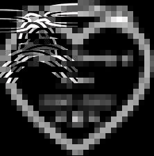 In Loving Memory Of My Cat Vinyl Decal Personalized for car laptop window  picture
