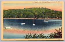 Beauty Spot Lake Wallenpaupack PA Pennsylvania Sunset Linen Postcard UNP VTG picture