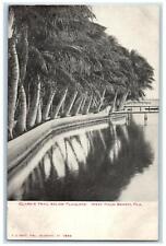 c1905 Clark's Trail Below Flaglers Seaside West Palm Beach Florida FL Postcard picture