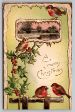 A Merry Christmas Featuring Birds German Made Antique Embossed Postcard c1910 picture