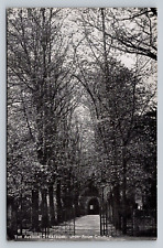 Treed Avenue Shakespeare's Holy Trinity Church Stratford-Upon-Avon Antique PC picture