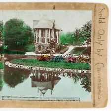 Jefferson Park Pond Reflection Stereoview c1890 Chicago Illinois Tinted B2063 picture