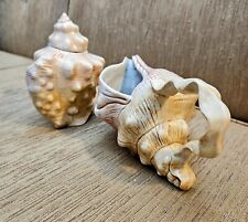 Sugar and Creamer Porcelain Sea Shell Design Unique And Extremely Hard To Find  picture