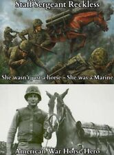 2 War Horse Cards  - Comanche (Little Big Horn) - Sgt. Reckless (A MARINE HERO) picture