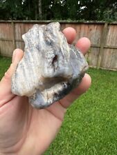Texas Petrified Wood 4x2x1 Highly Agatized Translucent Cabochon Jewelry Material picture