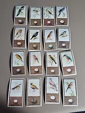 1936 Godfrey Phillips Tobacco Cards British Birds And Their Eggs Lot Of 16 Cards picture