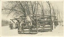 C-1910 hunting freezing jack rabbits for shipment RPPC Photo Postcard 22-3173 picture