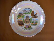 Montana State Vintage Souvenir Plate Big Sky Old Faithful Lake St Mary  picture