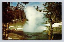 Chrome Postcard Yellowstone National Park WY Wyoming Riverside Geyser picture