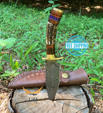 Custom Stag Horn HANDMADE DAMASCUS STEEL KNIFE With Brass Guard Hunting Blade picture