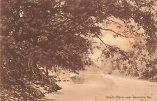 A Shady Place Near Knoxville Pennsylvania PA 1916 Vintage Postcard picture