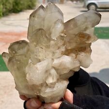 1.65LB Natural Citrine cluster mineral specimen quartz crystal healing picture