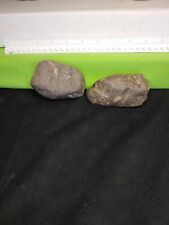 Authentic Native American Head and matching Banner stone from my dig site. picture