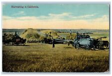 Selma California Postcard Harvesting Farming Field Exterior 1910 Vintage Antique picture