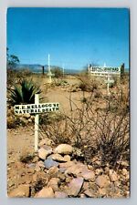 Tombstone AZ-Arizona, Grave Of ME Kellogg, Antique, Vintage Souvenir Postcard picture