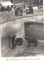 Hungry bears in Bern Switzerland zoo bear pit; nice 1910-20s PPPC picture