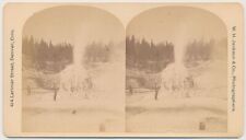 YELLOWSTONE SV - Lone Star Geyser in Eruption - WH Jackson 1880s picture