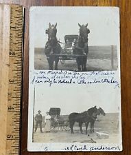RPPC real photo postcard farm carriage horse broken leg Anderson Hollenhors picture