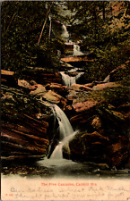 Vintage 1907 The Five Cascades Waterfall Catskill Mountains New York Postcard  picture