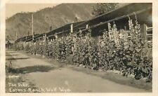 Postcard RPPC C-1910 Wyoming Wolf Eaton's Ranch occupation 23-12335 picture