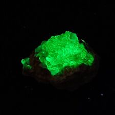Hyalite Opal Small Specimen UV Reactive picture