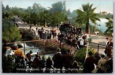 Vtg Los Angeles California CA Watching the Seals West Lake Park 1910s Postcard picture