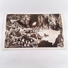 RPPC Oregon Coast -Sea Lion Caves- Sea Lions by Carlton Sawyer Postcard Vintage picture