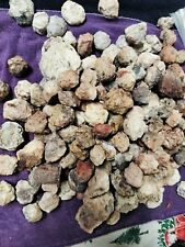 Lot Of 15 Small Unopened Amethyst Geodes From Quartzsite picture