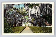 Georgetown SC-South Carolina, Avenue, Brookgreen Gardens Vintage c1957 Postcard picture